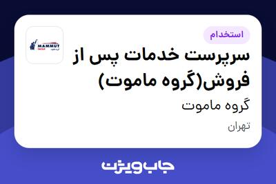  استخدام سرپرست خدمات پس از فروش(گروه ماموت) - آقا در گروه ماموت