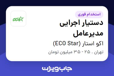  استخدام دستیار اجرایی مدیرعامل - خانم در اکو استار (ECO Star)