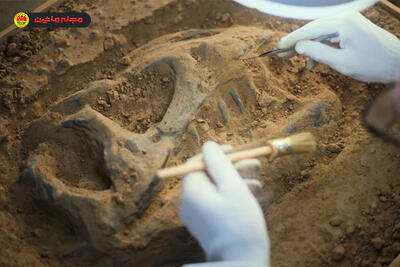  روغن موتور از دایناسورها ساخته نمی‌شود