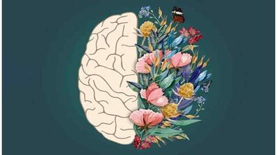  میگنا - اصول اولیه درمان و مداخلات روان‌شناختی