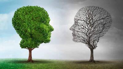  میگنا - تفاوت بین «اختلالات روانی» و «بیماری‌های روانی