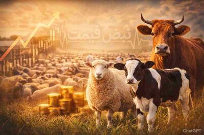  آینده روشن است؟ پیش بینی قیمت دام زنده در سال ۱۴۰۴؛ کارشناسان پیش‌بینی تکان‌دهنده‌ای اعلام کردند | تحلیل روند سال آینده ۲۶ بهمن ۱۴۰۴