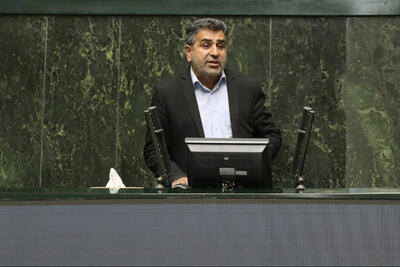  رئیس کمیسیون اجتماعی: سفر برخی مدیران به خارج مشکوک است