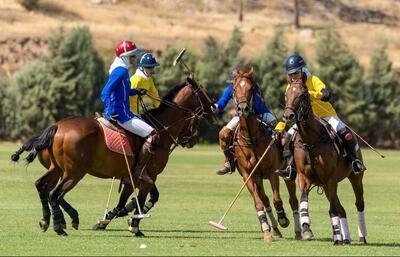  روز ملی چوگان در تقویم ثبت می‌شود  - پارس فوتبال