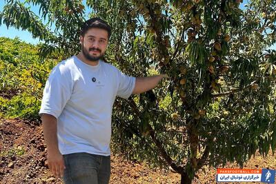  خرید نهال بادام: سودآوری تضمینی در کشاورزی با انتخاب درست نهال‌ها