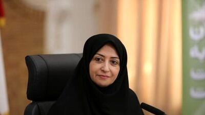  انتقاد رییس سازمان حفاظت محیط زیست از اجرای ناقص قانون هوای پاک