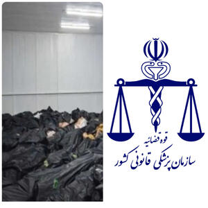  زنان گمشده دی؟