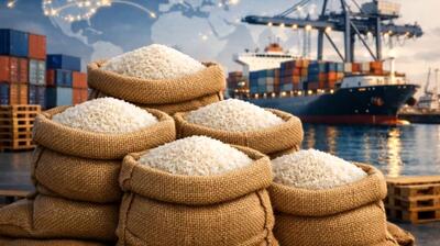  واردات برنج در ۱۰ ماهه ۱۴۰۴ به یک سال قبل رسید؛ هند پیشتاز شد