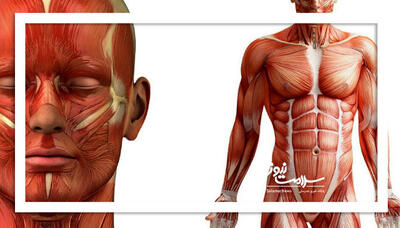  هشدارهای کمبود غذایی در بدن