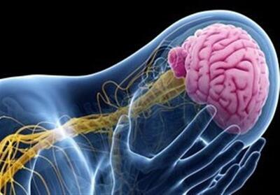  همه چیز در مورد بیماری صرع | در مواجهه با تشنج چه باید کرد؟