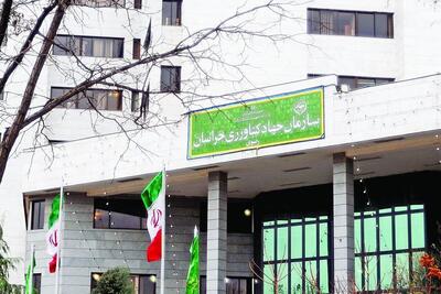  بودجه جهاد کشاورزی خراسان رضوی، روی هوا | ۹۷ درصد از بودجه ۱۴۰۴ هنوز اختصاص نیافته است!