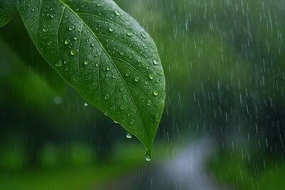  افزایش ۲.۸ درصدی بارش‌ها در کشور؛ تهران رکورددار کم‌بارشی