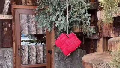  به حیوانات باغ وحش سن پترزبورگ روسیه در روز عشاق خوراکی داده شد