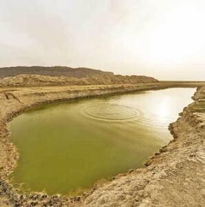  خشکی تالاب هامون و افزایش مهاجرت‌های اجباری