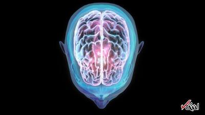  سفر فضایی چگونه جایگاه مغز انسان را تغییر می‌دهد؟