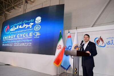  ورود پتروشیمی ها به بهینه سازی مصرف سوخت |۳۰  درصد گاز در نیروگاه ها می سوزد