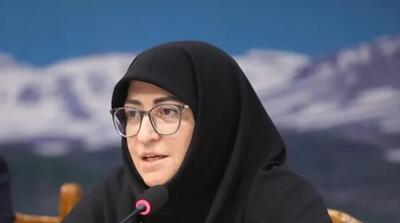  انتقاد شینا انصاری از تمرکز بر راهکارهای کوتاه‌مدت برای مدیریت آلودگی هوا