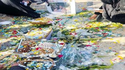  جزئیات جدید از قتل تلخ ملیکا به روایت برادرش/ سگ‌ها بخشی از پای ملیکا را خورده‌اند!