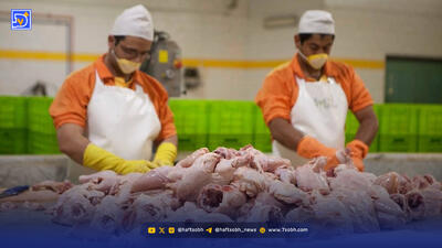  ضایعات مرغ هم مشتری پیدا کرد