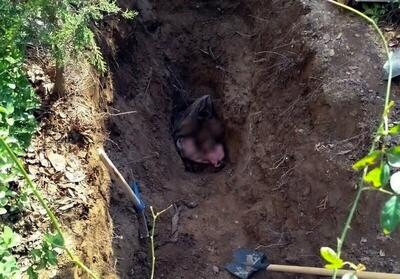  افشای جنایت عاشقانه در تهران/ جسد سوخته پس از ۴ سال کشف شد