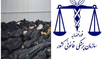  سازندگی گزارش داد: زنان گمشده دی؟