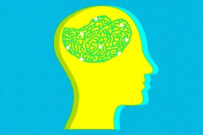  از تکرار تا تغییر؛ نقشِ «مسیرهای عصبی» در ماندگاری عادت‌ها