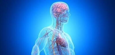  از هر سه مورد زوال عقل، یک مورد ریشه در بیماری‌های خارج از مغز دارد