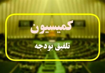  بند مربوط به وام ازدواج و فرزندآوری به کمیسیون تلفیق ارجاع شد