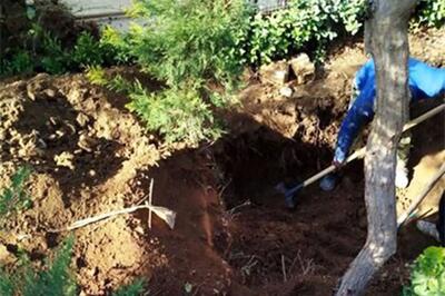  جنایت عاشقانه در تهران با کشف جسد سوخته پایان یافت