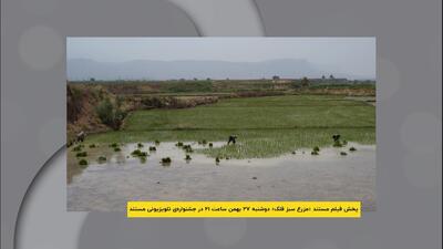  فیلم مستند «مزرع سبز فلک»در نهمین دوره‌ی جشنواره‌ی تلویزیونی مستند