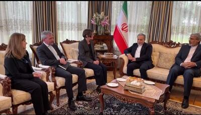  رئیس سازمان بین‌المللی صلیب سرخ با عراقچی دیدار کرد