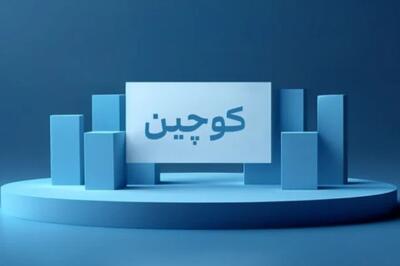  سرمایه «کوچین» ۲۹۴ درصد افزایش یافت