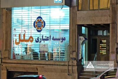  «وملل» ملک می فروشد