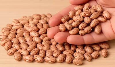  یه مشت لوبیا ! فکر نمی کردم همچین چیزی دربیاد ! غذای خوشمزه، آسون و گیاهی