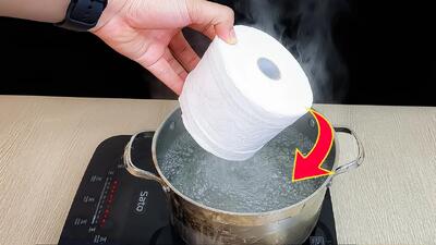  تبدیل دستمال توالت به طلا: روشی عجیب برای کسب درآمد