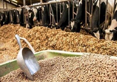  اعلام نرخ ارشادی نهاده‌های دامی بالاتر از بازار