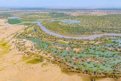  چین آن‌قدر در بیابان تکله‌مکان درخت کاشته که این منطقه بیشتر از تولید کربن، آن را از هوا جذب می‌کند!
