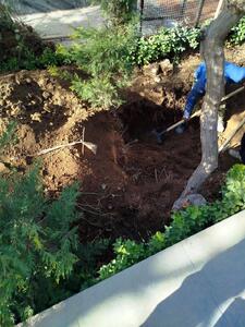  راز سیاه بازرگان گمشده بعد از ۴ سال برملا شد/ پلیس جسد مقتول را از عمق خاک بیرون کشید