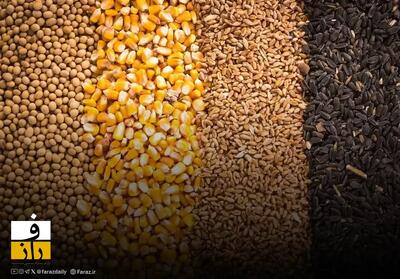  نرخ ارشادی نهاده‌های دامی بالاتر از قیمت بازار اعلام شد