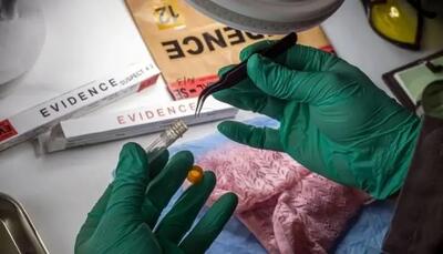  آزمایش دی‌ان‌ای معمای قتل و تجاوز ۳۰ ساله را حل کرد