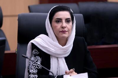  رشد نرخ ارز و افزایش بهای مواد اولیه عامل اصلی گرانی لوازم خانگی است