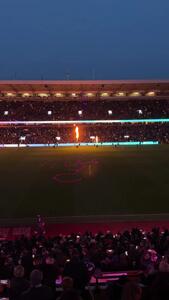  ویدئو: خوش‌آمدگویی خیره‌کننده به کلاغ‌ها