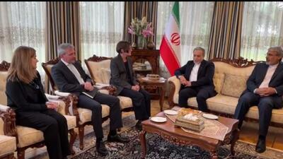  فیلم/ عراقچی با دبیرکل سازمان بین‌المللی صلیب سرخ دیدار کرد