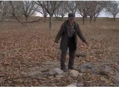  مستندی از کشاورزانی که ناچار به تکرار اشتباه هستند