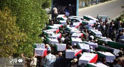  تصاویر بازگشت پرستوهای مهاجر به وطن | جهان نیوز