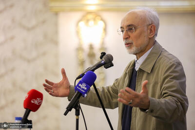  علی‌اکبر صالحی: ایران در میانه مثلث امریکا، چین و روسیه با یک فاصله برابر قرار گیرد/ یک لغزش حتی از سوی رئیس‌جمهور یا شخصیت شاخص می‌تواند اثر قابل توجهی داشته باشد، در حالی که در فیزیک چنین چیزی رخ نمی‌دهد