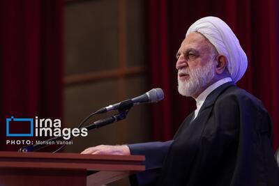  تاکید رییس دستگاه قضا بر اهمیت اطلاع‌رسانی درست در قبال پرونده عناصر اغتشاشگر