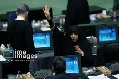  موافقت مجلس با اعتبارات هلال احمر، اورژانس، بیمه کشاورزی و حوادث طبیعی در سال ۱۴۰۵