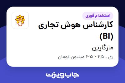  استخدام کارشناس هوش تجاری (BI) در مارگارین