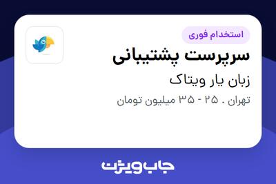  استخدام سرپرست پشتیبانی - خانم در زبان یار ویتاک